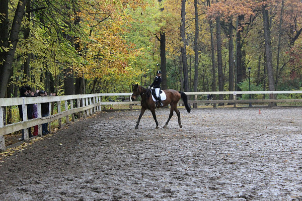 Обучение верховой езде в Москве. Сервис Ultra Подарки. Купить обучение верховой езде в Москве. Вы сможете попробовать курс по верховой езде и конные прогулки. Сервис UltraPodarki.ru 8 800 505 95 30. Обучение верховой езде, верховая езда в Москве, верховая езда Москва, конный спорт, уроки верховой езды, школа верховой езды, конные прогулки, верховая езда, школа верховой езды в Москве, конные прогулки в Москве, обучение верховой езде в Москве, конный спорт в Москве, уроки верховой езды в Москве