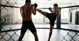 Смешанные единоборства ММА