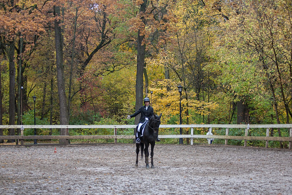 Обучение верховой езде в Москве. Сервис Ultra Подарки. Купить обучение верховой езде в Москве. Вы сможете попробовать курс по верховой езде и конные прогулки. Сервис UltraPodarki.ru 8 800 505 95 30. Обучение верховой езде, верховая езда в Москве, верховая езда Москва, конный спорт, уроки верховой езды, школа верховой езды, конные прогулки, верховая езда, школа верховой езды в Москве, конные прогулки в Москве, обучение верховой езде в Москве, конный спорт в Москве, уроки верховой езды в Москве
