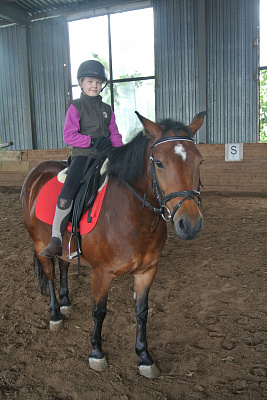 Обучение верховой езде в Москве. Сервис Ultra Подарки. Купить обучение верховой езде в Москве. Вы сможете попробовать курс по верховой езде и конные прогулки. Сервис UltraPodarki.ru 8 800 505 95 30. Обучение верховой езде, верховая езда в Москве, верховая езда Москва, конный спорт, уроки верховой езды, школа верховой езды, конные прогулки, верховая езда, школа верховой езды в Москве, конные прогулки в Москве, обучение верховой езде в Москве, конный спорт в Москве, уроки верховой езды в Москве