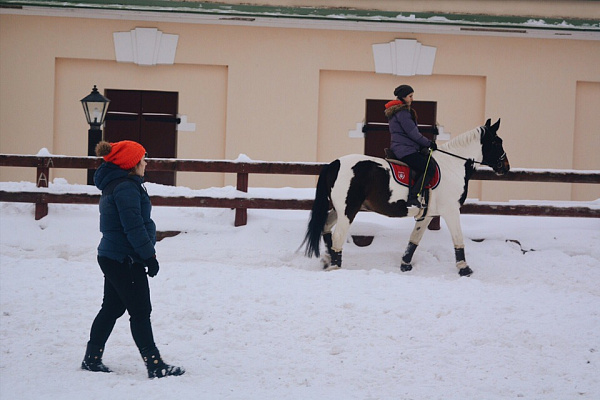 Конная прогулка в Москве. Подарочные сертификаты Ultra Подарки. Купить оригинальный подарок или подарочный сертификат на Конная прогулка в Москве. Сервис UltraPodarki.ru 8-800-505-9530. Катание на лошадях, Прогулка на лошади, Прогулка на лошадях для двоих, Конная прогулка, конный клуб, Конный Двор, конная прогулка, конная прогулка в Москве