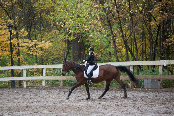 Обучение верховой езде в Москве. Сервис Ultra Подарки. Купить обучение верховой езде в Москве. Вы сможете попробовать курс по верховой езде и конные прогулки. Сервис UltraPodarki.ru 8 800 505 95 30. Обучение верховой езде, верховая езда в Москве, верховая езда Москва, конный спорт, уроки верховой езды, школа верховой езды, конные прогулки, верховая езда, школа верховой езды в Москве, конные прогулки в Москве, обучение верховой езде в Москве, конный спорт в Москве, уроки верховой езды в Москве