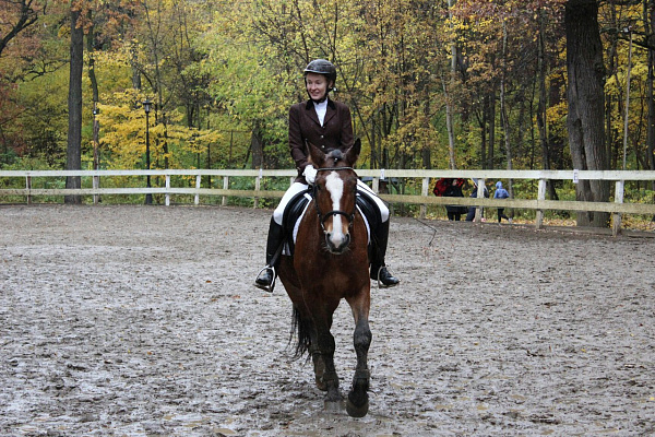 Обучение верховой езде в Москве. Сервис Ultra Подарки. Купить обучение верховой езде в Москве. Вы сможете попробовать курс по верховой езде и конные прогулки. Сервис UltraPodarki.ru 8 800 505 95 30. Обучение верховой езде, верховая езда в Москве, верховая езда Москва, конный спорт, уроки верховой езды, школа верховой езды, конные прогулки, верховая езда, школа верховой езды в Москве, конные прогулки в Москве, обучение верховой езде в Москве, конный спорт в Москве, уроки верховой езды в Москве