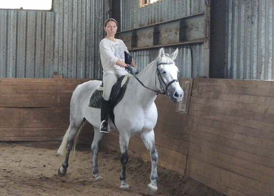 Обучение верховой езде в Москве. Сервис Ultra Подарки. Купить обучение верховой езде в Москве. Вы сможете попробовать курс по верховой езде и конные прогулки. Сервис UltraPodarki.ru 8 800 505 95 30. Обучение верховой езде, верховая езда в Москве, верховая езда Москва, конный спорт, уроки верховой езды, школа верховой езды, конные прогулки, верховая езда, школа верховой езды в Москве, конные прогулки в Москве, обучение верховой езде в Москве, конный спорт в Москве, уроки верховой езды в Москве