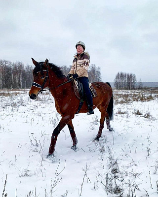 Конная прогулка в Москве. Подарочные сертификаты Ultra Подарки. Купить оригинальный подарок или подарочный сертификат на Конная прогулка в Москве. Сервис UltraPodarki.ru 8-800-505-9530. Катание на лошадях, Прогулка на лошади, Прогулка на лошадях для двоих, Конная прогулка, конный клуб, Конный Двор, конная прогулка, конная прогулка в Москве