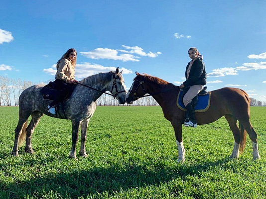 Конная прогулка в Москве. Подарочные сертификаты Ultra Подарки. Купить оригинальный подарок или подарочный сертификат на Конная прогулка в Москве. Сервис UltraPodarki.ru 8-800-505-9530. Катание на лошадях, Прогулка на лошади, Прогулка на лошадях для двоих, Конная прогулка, конный клуб, Конный Двор, конная прогулка, конная прогулка в Москве