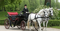 Прогулка в конных экипажах