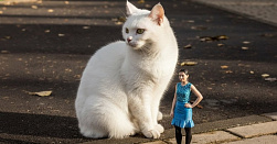 3D фигурка с готовой модели