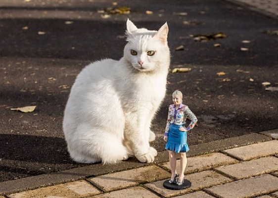 3D фигурка по фотографии. Подарочные сертификаты Ultra Подарки Москва. Купить оригинальный подарок или подарочный сертификат на 3D фигурка по фотографии. Сервис UltraPodarki.ru Москва 8 800 505 95 30. 