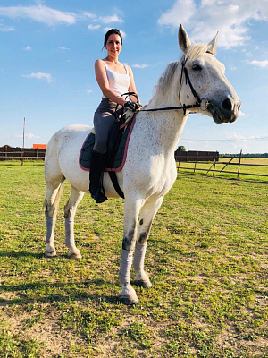 Конная прогулка в Москве. Подарочные сертификаты Ultra Подарки. Купить оригинальный подарок или подарочный сертификат на Конная прогулка в Москве. Сервис UltraPodarki.ru 8-800-505-9530. Катание на лошадях, Прогулка на лошади, Прогулка на лошадях для двоих, Конная прогулка, конный клуб, Конный Двор, конная прогулка, конная прогулка в Москве