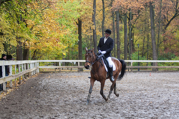 Обучение верховой езде в Москве. Сервис Ultra Подарки. Купить обучение верховой езде в Москве. Вы сможете попробовать курс по верховой езде и конные прогулки. Сервис UltraPodarki.ru 8 800 505 95 30. Обучение верховой езде, верховая езда в Москве, верховая езда Москва, конный спорт, уроки верховой езды, школа верховой езды, конные прогулки, верховая езда, школа верховой езды в Москве, конные прогулки в Москве, обучение верховой езде в Москве, конный спорт в Москве, уроки верховой езды в Москве