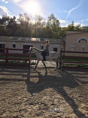 Конная прогулка в Москве. Подарочные сертификаты Ultra Подарки. Купить оригинальный подарок или подарочный сертификат на Конная прогулка в Москве. Сервис UltraPodarki.ru 8-800-505-9530. Катание на лошадях, Прогулка на лошади, Прогулка на лошадях для двоих, Конная прогулка, конный клуб, Конный Двор, конная прогулка, конная прогулка в Москве