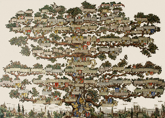 Занятия по генеологии. Подарочные сертификаты Ultra Подарки Москва. Купить оригинальный подарок или подарочный сертификат на Занятия по генеологии. Сервис UltraPodarki.ru Москва 8 800 505 95 30. 