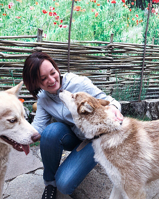 Катание на хаски в Москве. Ultra Подарки. Катание на хаски в Москве. Попробуйте Катание на хаски. Сервис: UltraPodarki.ru 8 800 505 95 30. Катание на хаски Москва, Катание на хаски в Москве, хаски, животные в Москве,