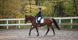 Уроки верховой езды