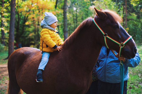Конная прогулка в Москве. Подарочные сертификаты Ultra Подарки. Купить оригинальный подарок или подарочный сертификат на Конная прогулка в Москве. Сервис UltraPodarki.ru 8-800-505-9530. Катание на лошадях, Прогулка на лошади, Прогулка на лошадях для двоих, Конная прогулка, конный клуб, Конный Двор, конная прогулка, конная прогулка в Москве
