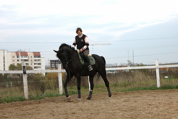 Обучение верховой езде в Москве. Сервис Ultra Подарки. Купить обучение верховой езде в Москве. Вы сможете попробовать курс по верховой езде и конные прогулки. Сервис UltraPodarki.ru 8 800 505 95 30. Обучение верховой езде, верховая езда в Москве, верховая езда Москва, конный спорт, уроки верховой езды, школа верховой езды, конные прогулки, верховая езда, школа верховой езды в Москве, конные прогулки в Москве, обучение верховой езде в Москве, конный спорт в Москве, уроки верховой езды в Москве