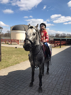 Конная прогулка в Москве. Подарочные сертификаты Ultra Подарки. Купить оригинальный подарок или подарочный сертификат на Конная прогулка в Москве. Сервис UltraPodarki.ru 8-800-505-9530. Катание на лошадях, Прогулка на лошади, Прогулка на лошадях для двоих, Конная прогулка, конный клуб, Конный Двор, конная прогулка, конная прогулка в Москве