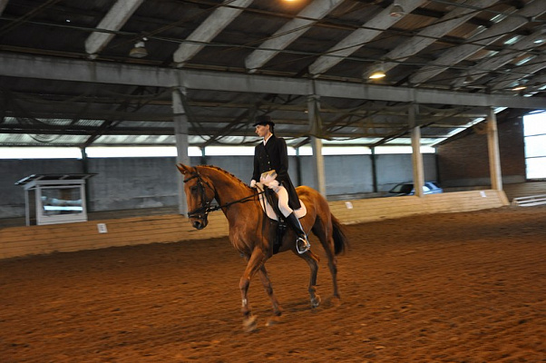 Обучение верховой езде в Москве. Сервис Ultra Подарки. Купить обучение верховой езде в Москве. Вы сможете попробовать курс по верховой езде и конные прогулки. Сервис UltraPodarki.ru 8 800 505 95 30. Обучение верховой езде, верховая езда в Москве, верховая езда Москва, конный спорт, уроки верховой езды, школа верховой езды, конные прогулки, верховая езда, школа верховой езды в Москве, конные прогулки в Москве, обучение верховой езде в Москве, конный спорт в Москве, уроки верховой езды в Москве