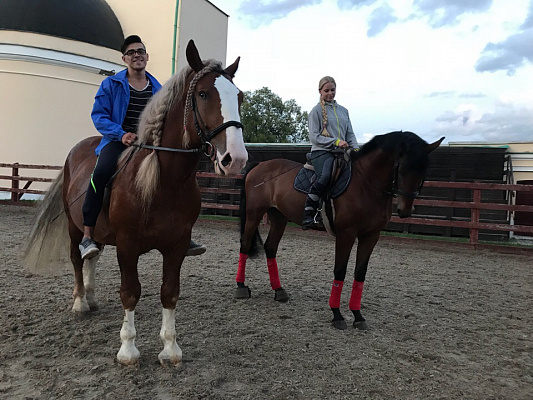 Конная прогулка в Москве. Подарочные сертификаты Ultra Подарки. Купить оригинальный подарок или подарочный сертификат на Конная прогулка в Москве. Сервис UltraPodarki.ru 8-800-505-9530. Катание на лошадях, Прогулка на лошади, Прогулка на лошадях для двоих, Конная прогулка, конный клуб, Конный Двор, конная прогулка, конная прогулка в Москве