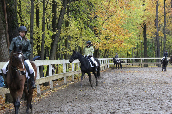 Обучение верховой езде в Москве. Сервис Ultra Подарки. Купить обучение верховой езде в Москве. Вы сможете попробовать курс по верховой езде и конные прогулки. Сервис UltraPodarki.ru 8 800 505 95 30. Обучение верховой езде, верховая езда в Москве, верховая езда Москва, конный спорт, уроки верховой езды, школа верховой езды, конные прогулки, верховая езда, школа верховой езды в Москве, конные прогулки в Москве, обучение верховой езде в Москве, конный спорт в Москве, уроки верховой езды в Москве