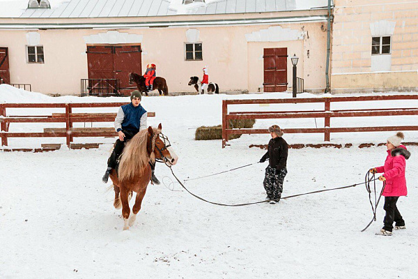 Конная прогулка в Москве. Подарочные сертификаты Ultra Подарки. Купить оригинальный подарок или подарочный сертификат на Конная прогулка в Москве. Сервис UltraPodarki.ru 8-800-505-9530. Катание на лошадях, Прогулка на лошади, Прогулка на лошадях для двоих, Конная прогулка, конный клуб, Конный Двор, конная прогулка, конная прогулка в Москве