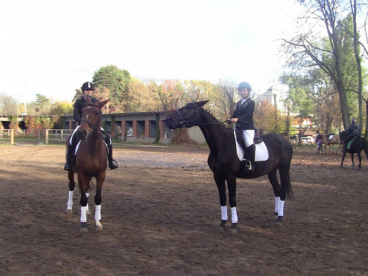Обучение верховой езде в Москве. Сервис Ultra Подарки. Купить обучение верховой езде в Москве. Вы сможете попробовать курс по верховой езде и конные прогулки. Сервис UltraPodarki.ru 8 800 505 95 30. Обучение верховой езде, верховая езда в Москве, верховая езда Москва, конный спорт, уроки верховой езды, школа верховой езды, конные прогулки, верховая езда, школа верховой езды в Москве, конные прогулки в Москве, обучение верховой езде в Москве, конный спорт в Москве, уроки верховой езды в Москве