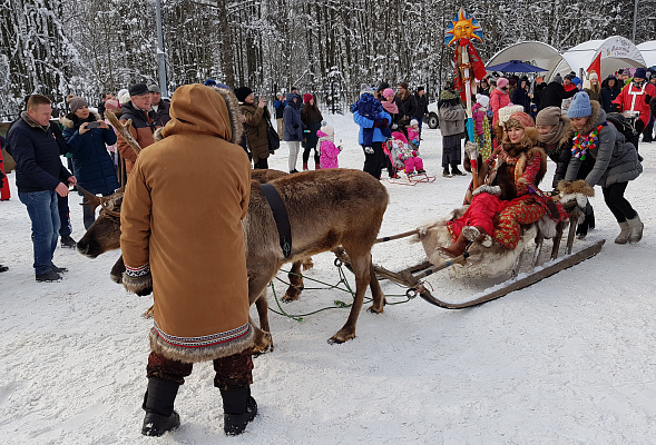 Экскурсия "Северные олени и ездовые собаки". Подарочные сертификаты Ultra Подарки Москва. Купить оригинальный подарок или подарочный сертификат на Экскурсия "Северные олени и ездовые собаки". Сервис UltraPodarki.ru Москва 8 800 505 95 30. 