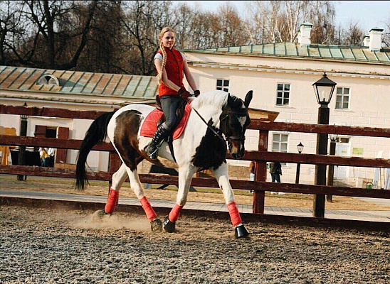 Конная прогулка в Москве. Подарочные сертификаты Ultra Подарки. Купить оригинальный подарок или подарочный сертификат на Конная прогулка в Москве. Сервис UltraPodarki.ru 8-800-505-9530. Катание на лошадях, Прогулка на лошади, Прогулка на лошадях для двоих, Конная прогулка, конный клуб, Конный Двор, конная прогулка, конная прогулка в Москве