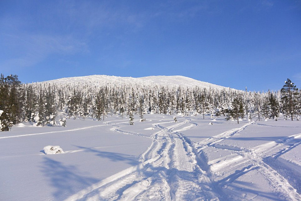 Катание на снегоходах в Москве в подарок. Сервис Ultra Подарки
. Подарочный сертификат на катание на снегоходах в Москве с друзьями. Закажите прокат снегоходов в подарок для мужчины по привлекательным ценам. Живописные маршруты для езды на снегоходах это отличная возможность активного отдыха. Сервис UltraPodarki.ru 8 800 505 95 30. катание на снегоходах, подарочный сертификат на катание на снегоходе, прокат снегоходов, прокат снегоходов Москва, катание на снегоходах Москва, езда на снегоходе