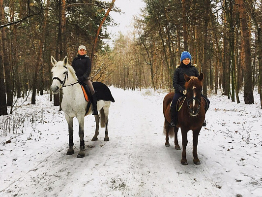 Конная прогулка в Москве. Подарочные сертификаты Ultra Подарки. Купить оригинальный подарок или подарочный сертификат на Конная прогулка в Москве. Сервис UltraPodarki.ru 8-800-505-9530. Катание на лошадях, Прогулка на лошади, Прогулка на лошадях для двоих, Конная прогулка, конный клуб, Конный Двор, конная прогулка, конная прогулка в Москве