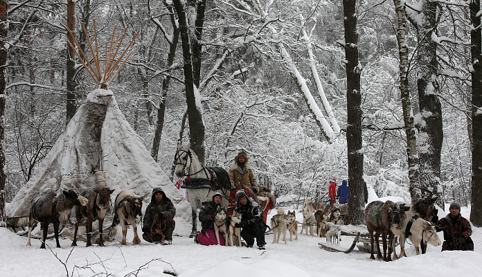 Экскурсия "Северные олени и ездовые собаки". Подарочные сертификаты Ultra Подарки Москва. Купить оригинальный подарок или подарочный сертификат на Экскурсия "Северные олени и ездовые собаки". Сервис UltraPodarki.ru Москва 8 800 505 95 30. 