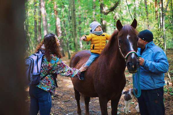 Конная прогулка в Москве. Подарочные сертификаты Ultra Подарки. Купить оригинальный подарок или подарочный сертификат на Конная прогулка в Москве. Сервис UltraPodarki.ru 8-800-505-9530. Катание на лошадях, Прогулка на лошади, Прогулка на лошадях для двоих, Конная прогулка, конный клуб, Конный Двор, конная прогулка, конная прогулка в Москве