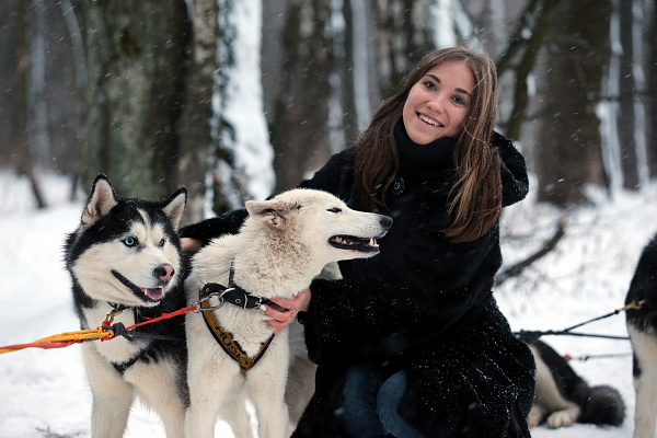 Экскурсия "Северные олени и ездовые собаки". Подарочные сертификаты Ultra Подарки Москва. Купить оригинальный подарок или подарочный сертификат на Экскурсия "Северные олени и ездовые собаки". Сервис UltraPodarki.ru Москва 8 800 505 95 30. 