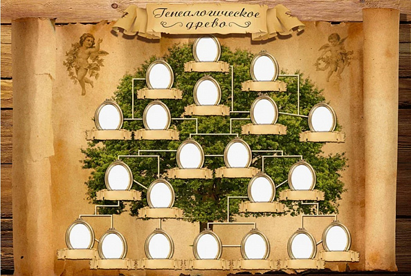 Занятия по генеологии. Подарочные сертификаты Ultra Подарки Москва. Купить оригинальный подарок или подарочный сертификат на Занятия по генеологии. Сервис UltraPodarki.ru Москва 8 800 505 95 30. 