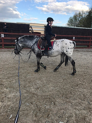 Конная прогулка в Москве. Подарочные сертификаты Ultra Подарки. Купить оригинальный подарок или подарочный сертификат на Конная прогулка в Москве. Сервис UltraPodarki.ru 8-800-505-9530. Катание на лошадях, Прогулка на лошади, Прогулка на лошадях для двоих, Конная прогулка, конный клуб, Конный Двор, конная прогулка, конная прогулка в Москве