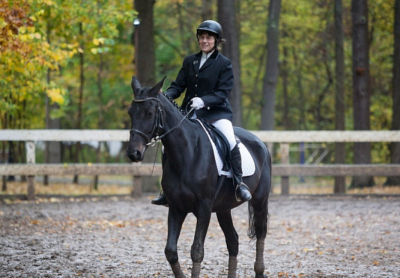 Обучение верховой езде в Москве. Сервис Ultra Подарки. Купить обучение верховой езде в Москве. Вы сможете попробовать курс по верховой езде и конные прогулки. Сервис UltraPodarki.ru 8 800 505 95 30. Обучение верховой езде, верховая езда в Москве, верховая езда Москва, конный спорт, уроки верховой езды, школа верховой езды, конные прогулки, верховая езда, школа верховой езды в Москве, конные прогулки в Москве, обучение верховой езде в Москве, конный спорт в Москве, уроки верховой езды в Москве
