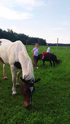 Конная прогулка в Москве. Подарочные сертификаты Ultra Подарки. Купить оригинальный подарок или подарочный сертификат на Конная прогулка в Москве. Сервис UltraPodarki.ru 8-800-505-9530. Катание на лошадях, Прогулка на лошади, Прогулка на лошадях для двоих, Конная прогулка, конный клуб, Конный Двор, конная прогулка, конная прогулка в Москве